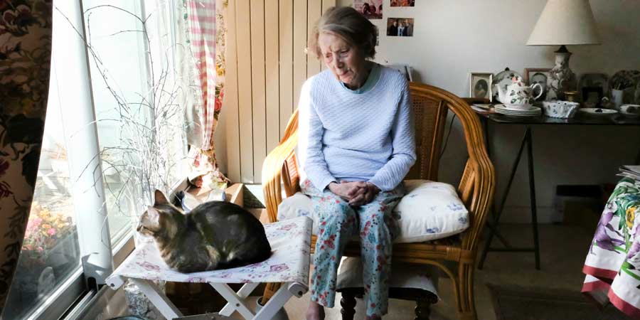 Les bienfaits des animaux pendant le confinement sur les personnes âgées