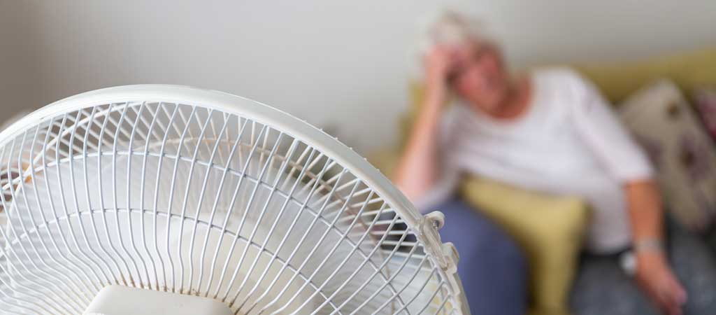 20 après la canicule, quel bilan ? © eyematter/ Shutterstock.com