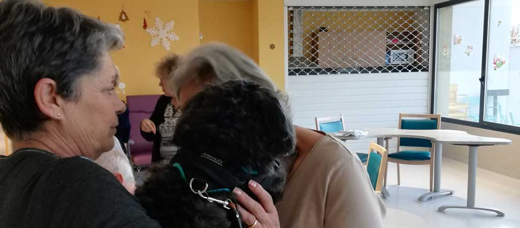 Les séances de médiation animale avec l'association AnimalCâlin. © Petits Frères des Pauvres de Toulouse