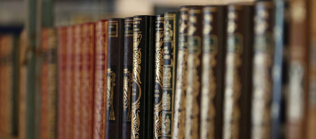 À Hellemmes, vous pourrez trouver de nombreux livres ou bibelots à chiner. © Patrick Menant